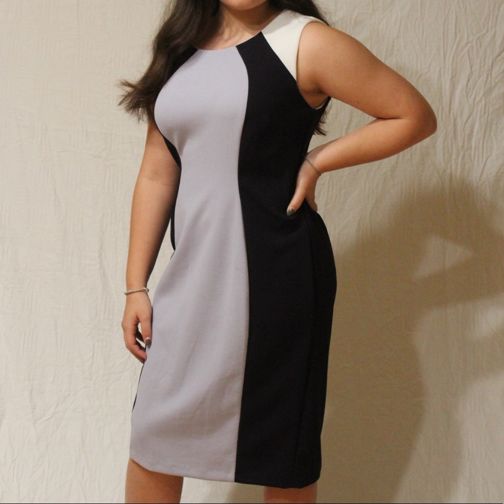 Shelby and Palmer dress size 10